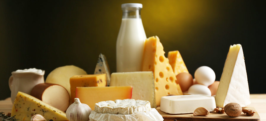 Food ingredients for dairy -Chemsino  