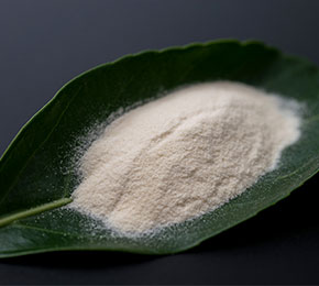 Ethyl vanillinVanillia Powder