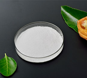 Dicalcium phosphates (DCP)